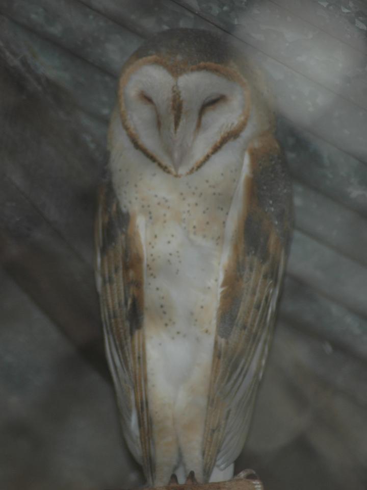 FIGURE 3 FIGURE 3